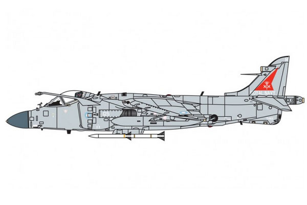 Модель - Харриер FA2 - FRS 1 BAe Sea Harrier FA2. 