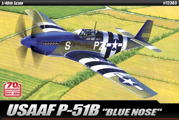 Модель - Самолет  USAAF P-51B &quot;Anniv. 70 Normandy invasion 1944&quot; (1:4